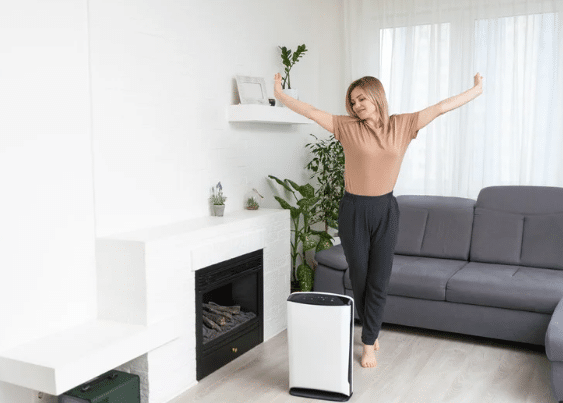 Home Dehumidifier